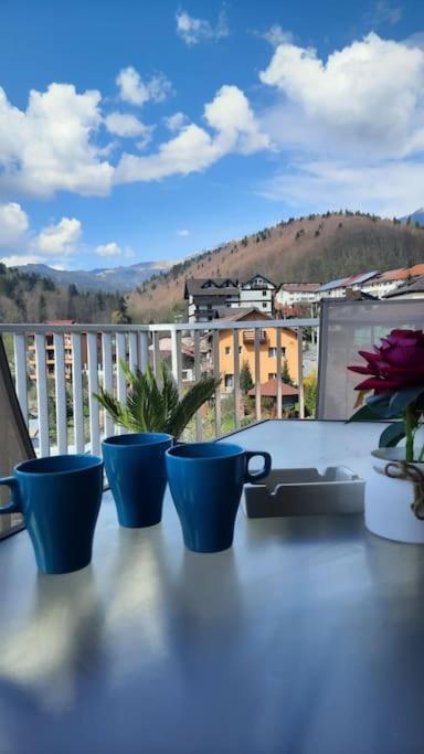 Apartament Erika Premium Sinaia Exteriér fotografie