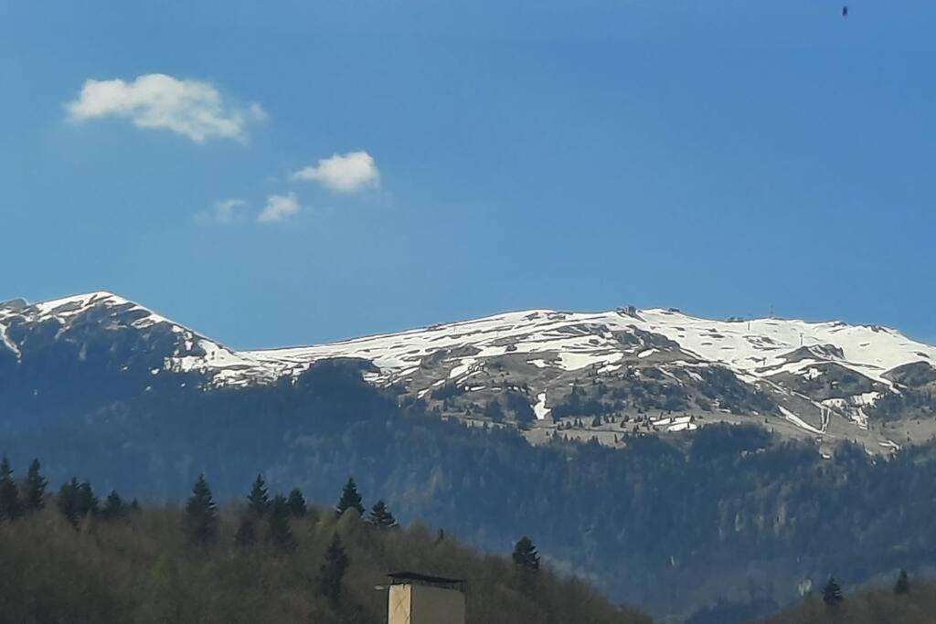 Apartament Erika Premium Sinaia Exteriér fotografie